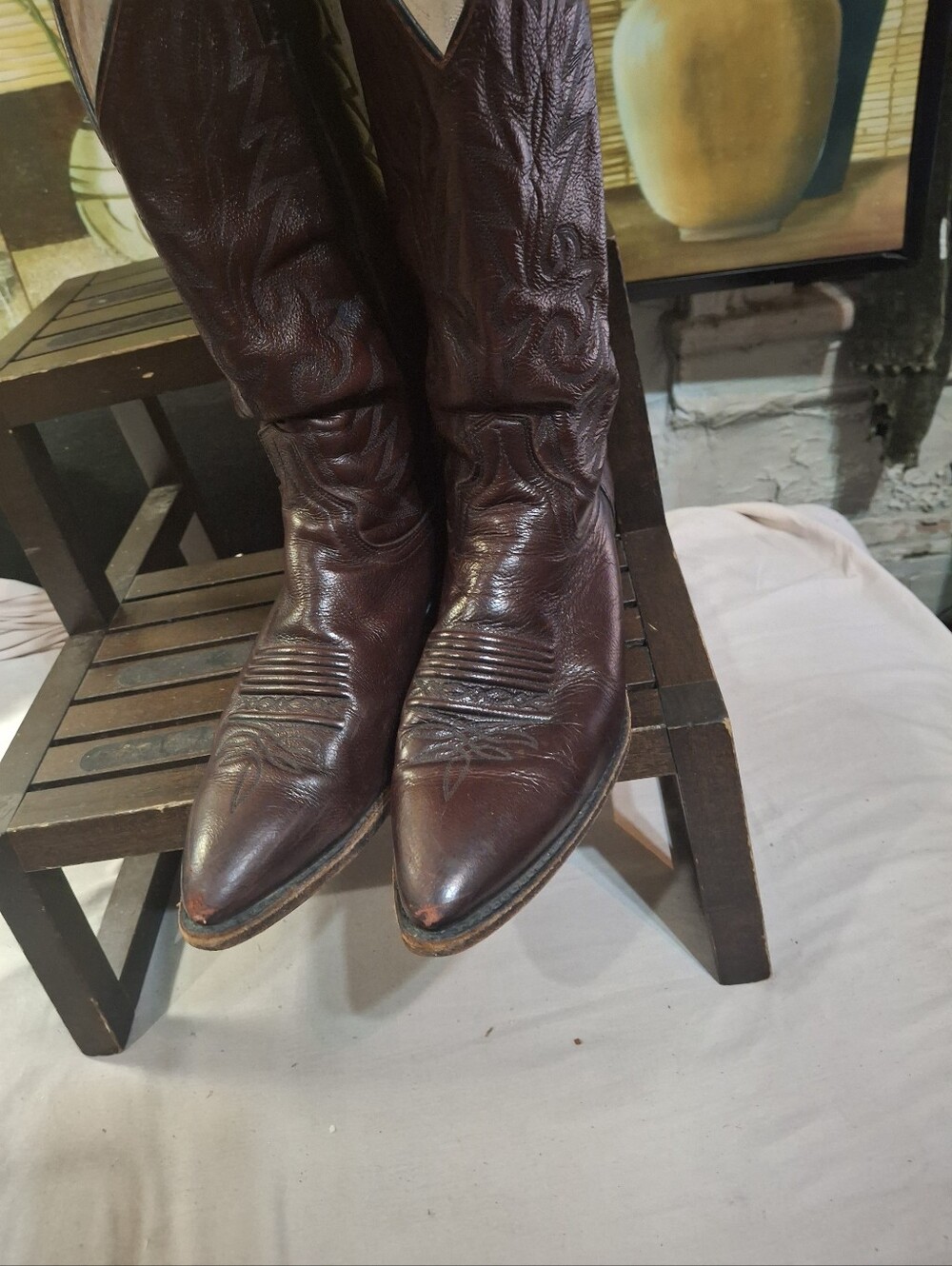 Dan Post Burgundy Pointed-Toe Western Boots